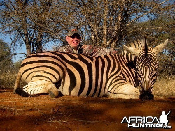 Zebra hunted with Cruiser Safaris