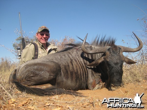 Blue Wildebeest hunted with Cruiser Safaris