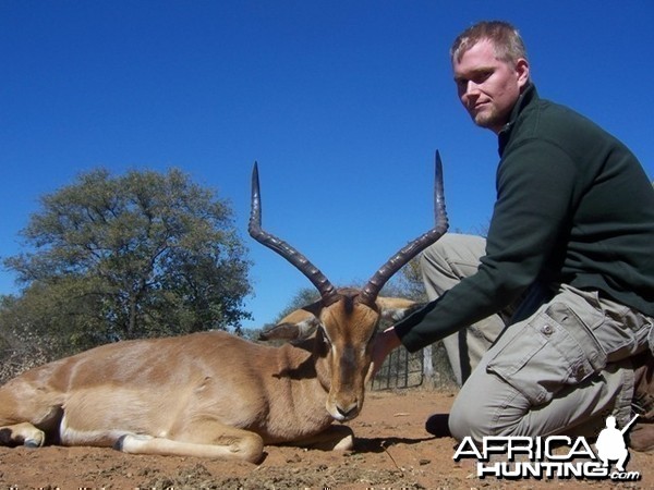 Impala Limpopo South Africa