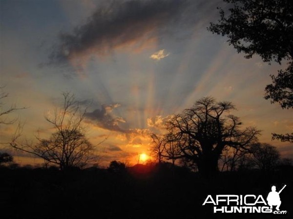 Hunt in Save Valley Conservancy Zimbabwe