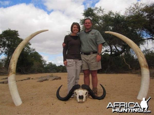 Elephant Hunt in Save Valley Conservancy Zimbabwe