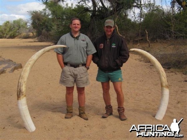 Elephant Hunt in Save Valley Conservancy Zimbabwe