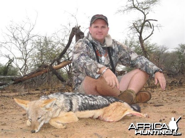 Jackal Hunt in Save Valley Conservancy Zimbabwe