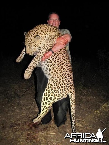 Leopard Hunt in Save Valley Conservancy Zimbabwe