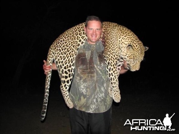 Leopard Hunt in Save Valley Conservancy Zimbabwe