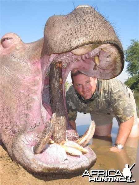 Hippo Hunt in Save Valley Conservancy Zimbabwe