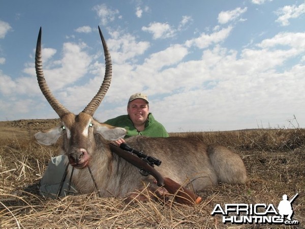 30.25 inch Waterbuck Bull