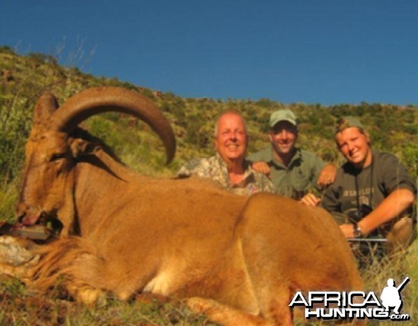 Hunting Barbary Sheep with Wintershoek Johnny Vivier Safaris in SA