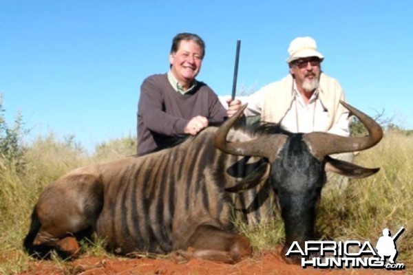 Hunting Blue Wildebeest with Wintershoek Johnny Vivier Safaris in SA