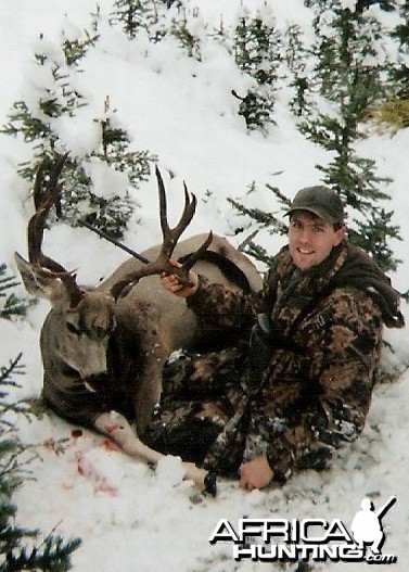 2004 Muley