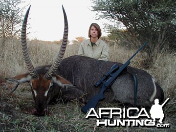 Hunting Waterbuck