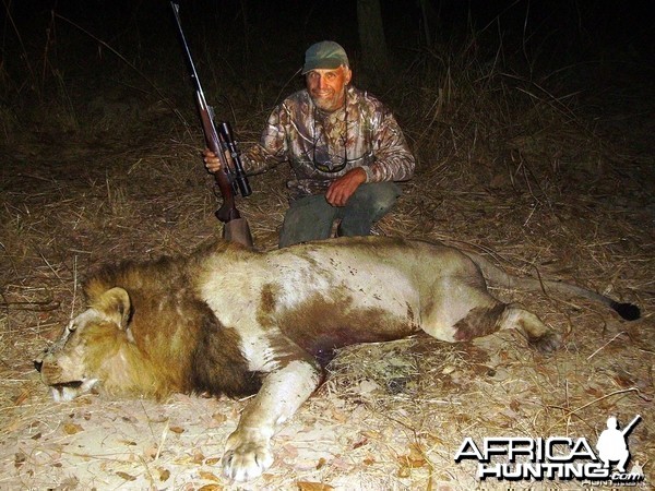 Big Lion hunted in Zambia with Prohunt Zambia