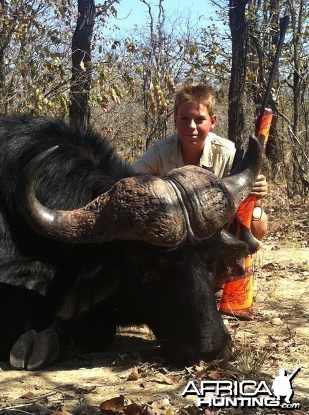 My son Buffalo hunted in Zimbabwe