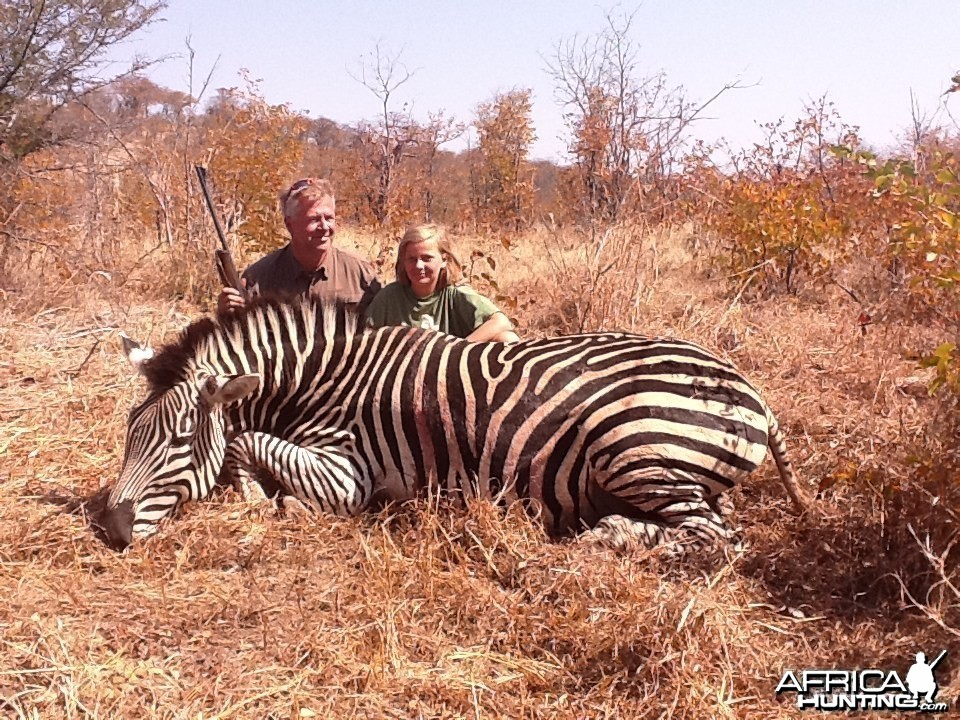 Zebra hunted in Zimbabwe