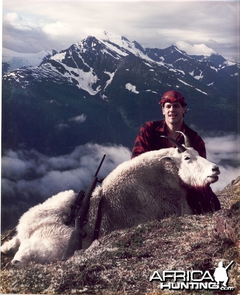 Trophy Mountain Goat Taku River Alaska