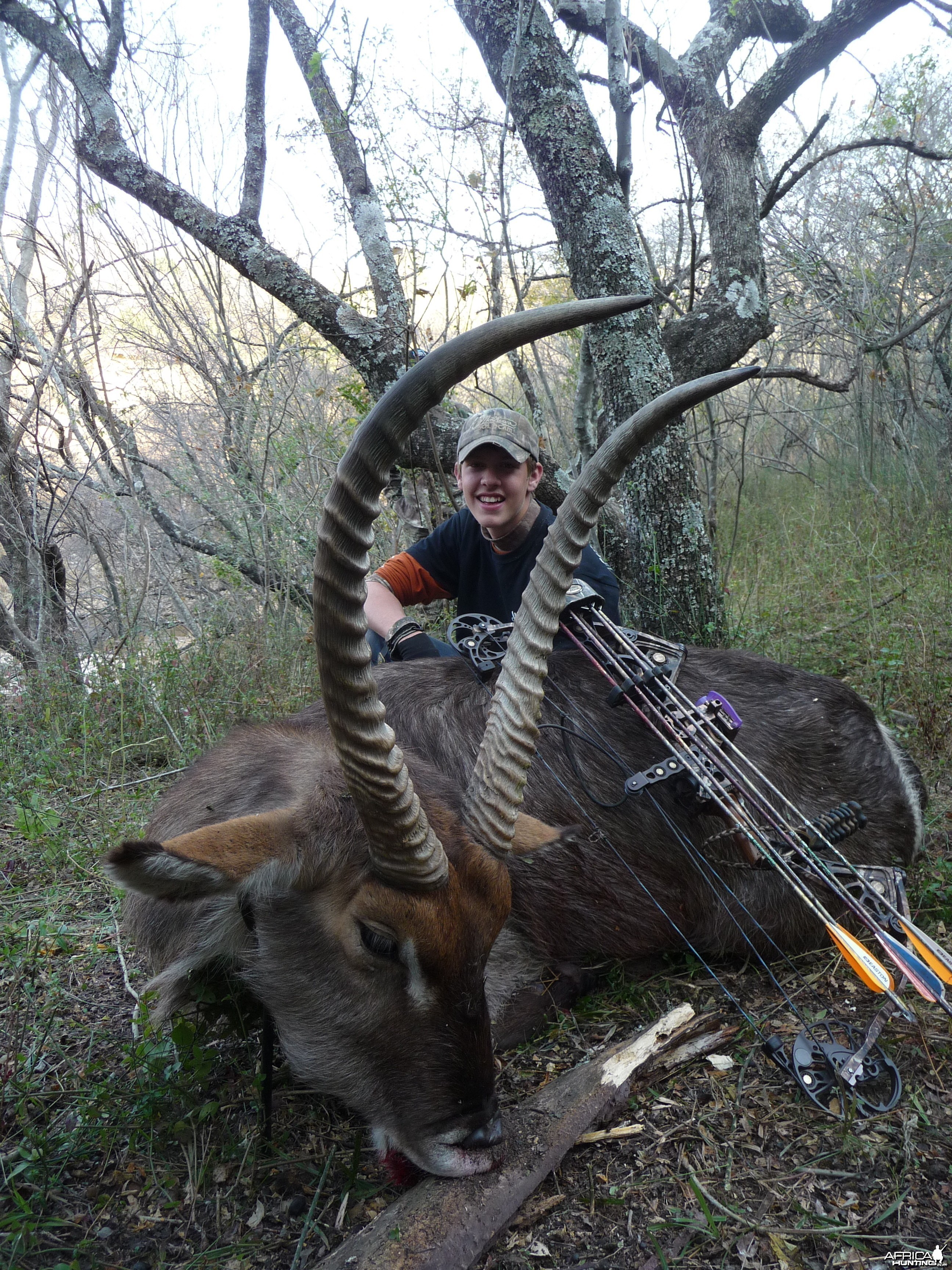WaterBuck with a bow