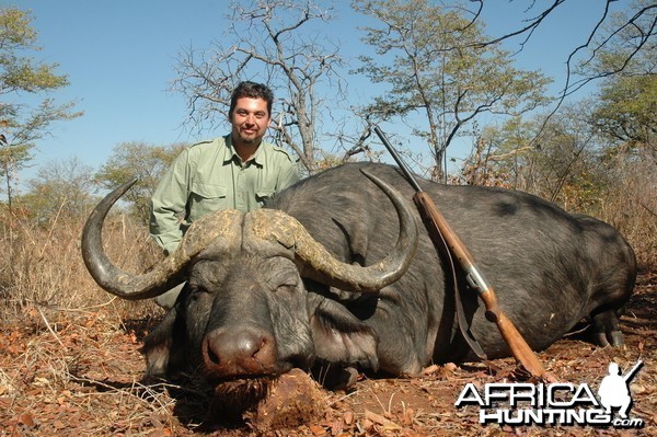 40 inch Buffalo hunted in Zimbabwe