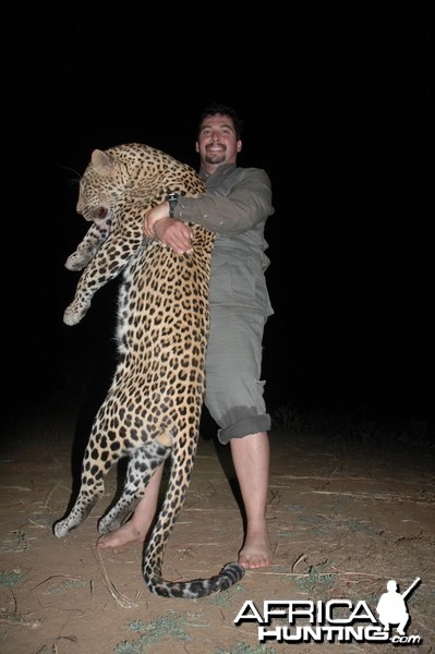 15 inch Leopard hunted in Zimbabwe