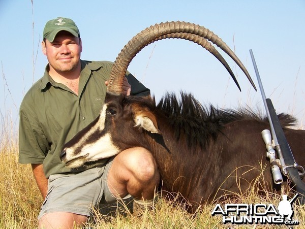 Sable Chobe Zimbabwe