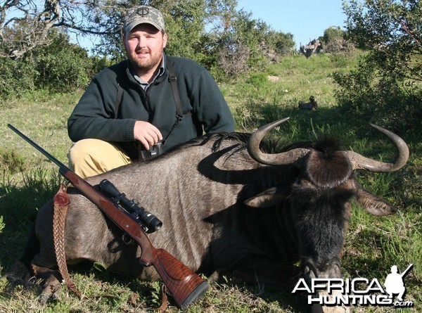 Blue Wildebeest hunt in South Africa