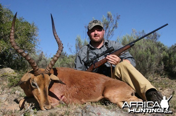 Impala hunt in South Africa