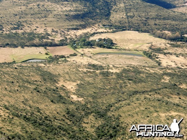 Area we were hunting for Bushbuck