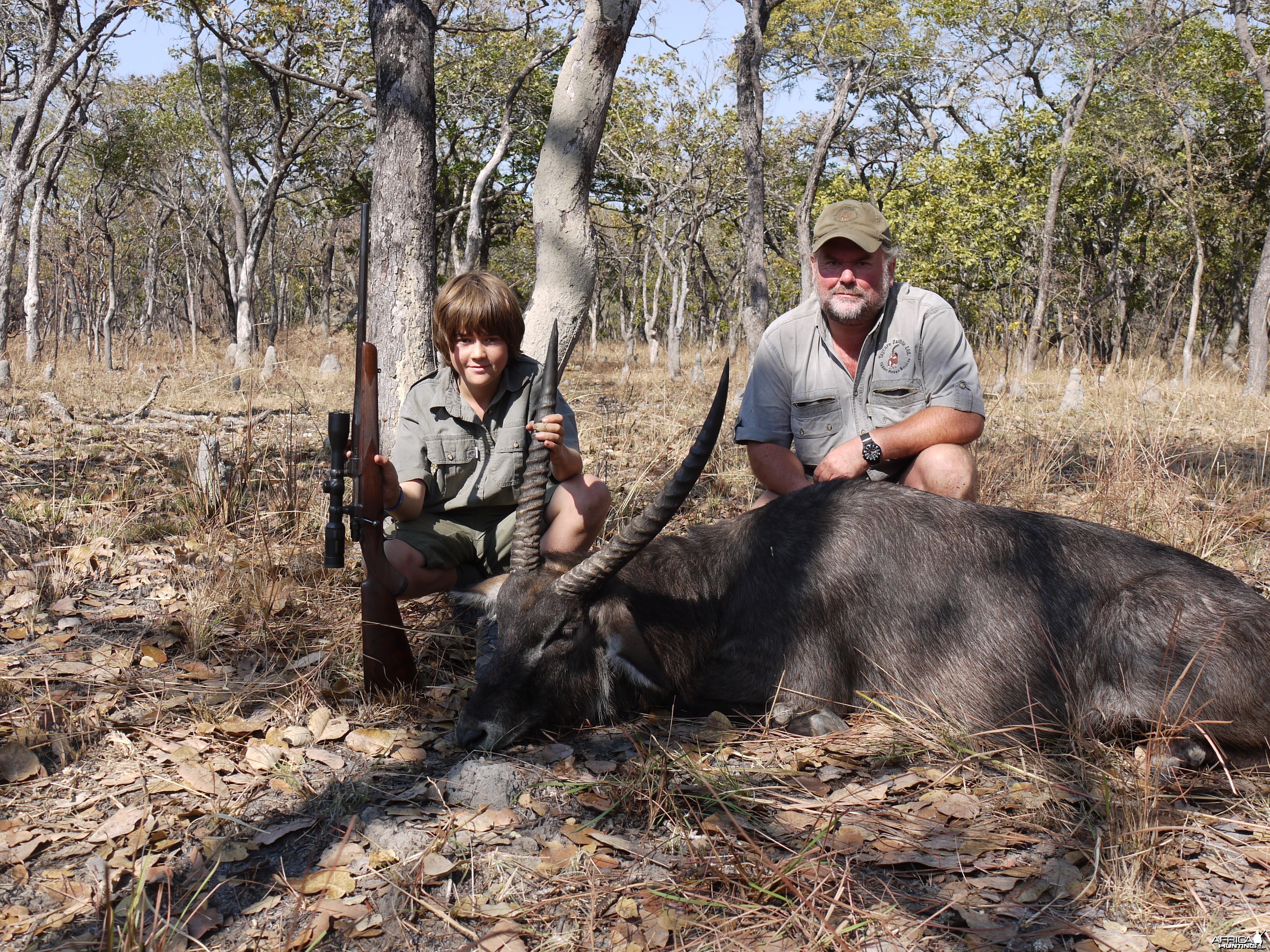 Defassa Waterbuck