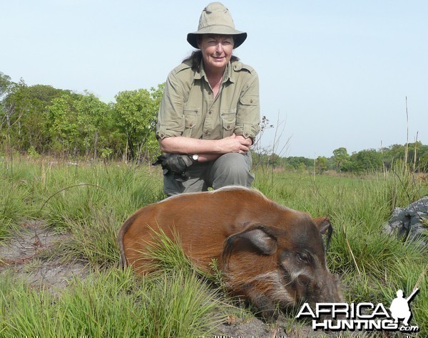 Hunting Red River Hog in CAR with Rudy Lubin Safaris