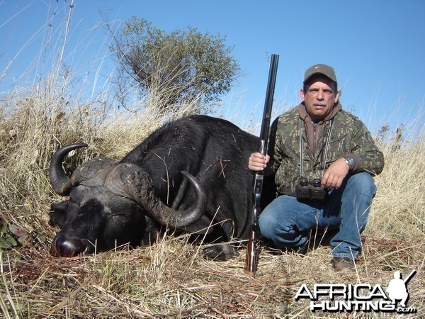 Zimbabwe Buffalo '06