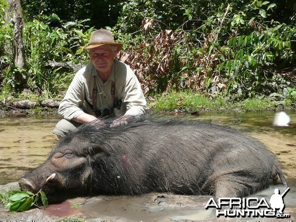 Hunting Giant Forest Hog in CAR with Rudy Lubin Safaris
