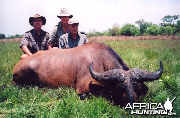 Hunting Buffalo in CAR with Rudy Lubin Safaris