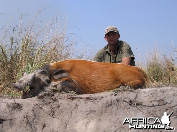 Red River Hog 8 1/2&quot; #1 RW