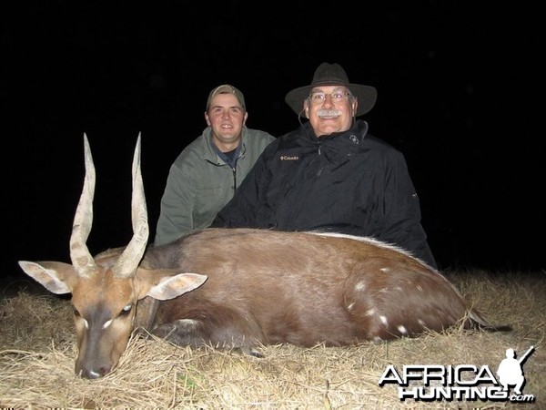Cape Bushbuck - South Africa