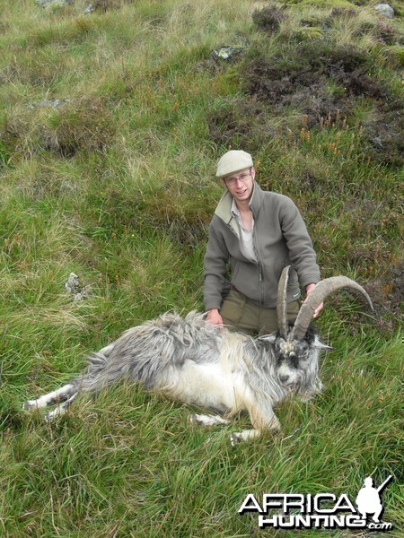 Hunting Scottish Goats in the Scottish Mountains