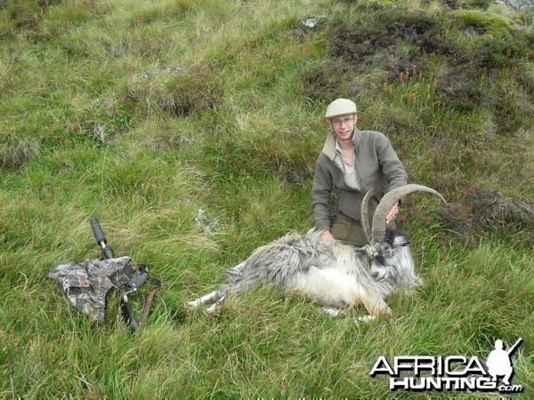 Hunting Scottish Goats in the Scottish Mountains