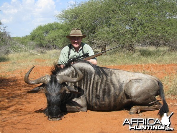 Blue Wildebeest South Africa