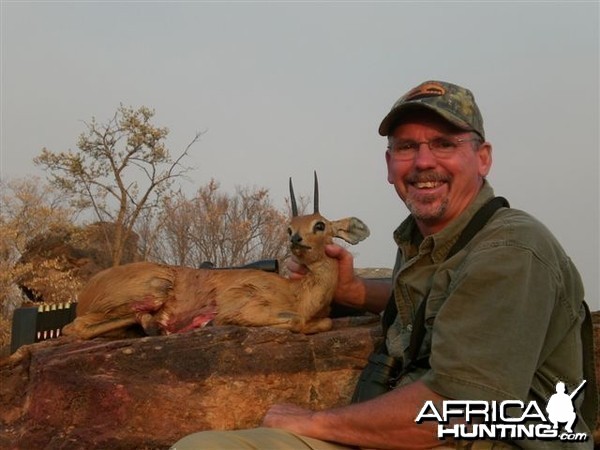 Steenbok