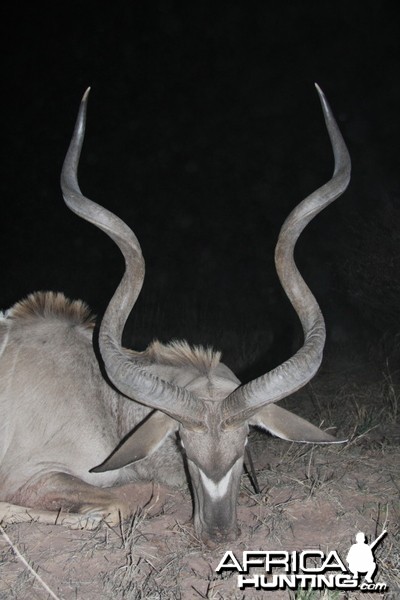 59 inch Kudu hunted in Namibia