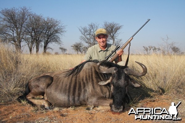 Blue Wildebeest hunted in Namibia