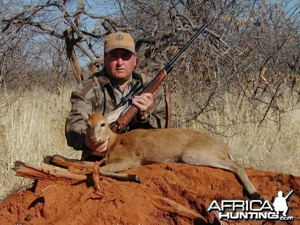 Gray Duiker Hunting in Namibia