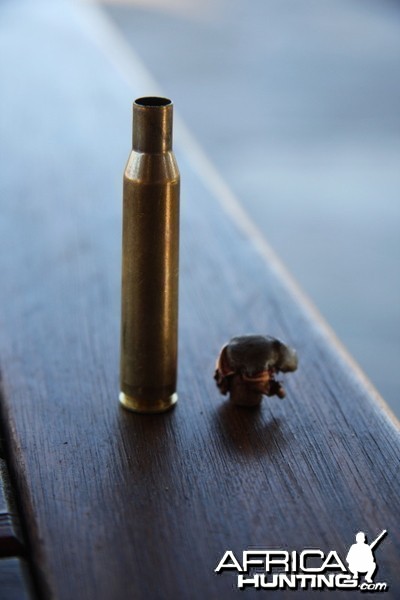 Bullet retrieved from Kudu - Caliber 270win