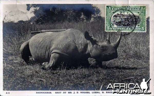 Hunting Black Rhinoceros in Rhodesia Africa ca 1919