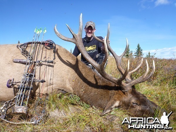 British Columbia Elk