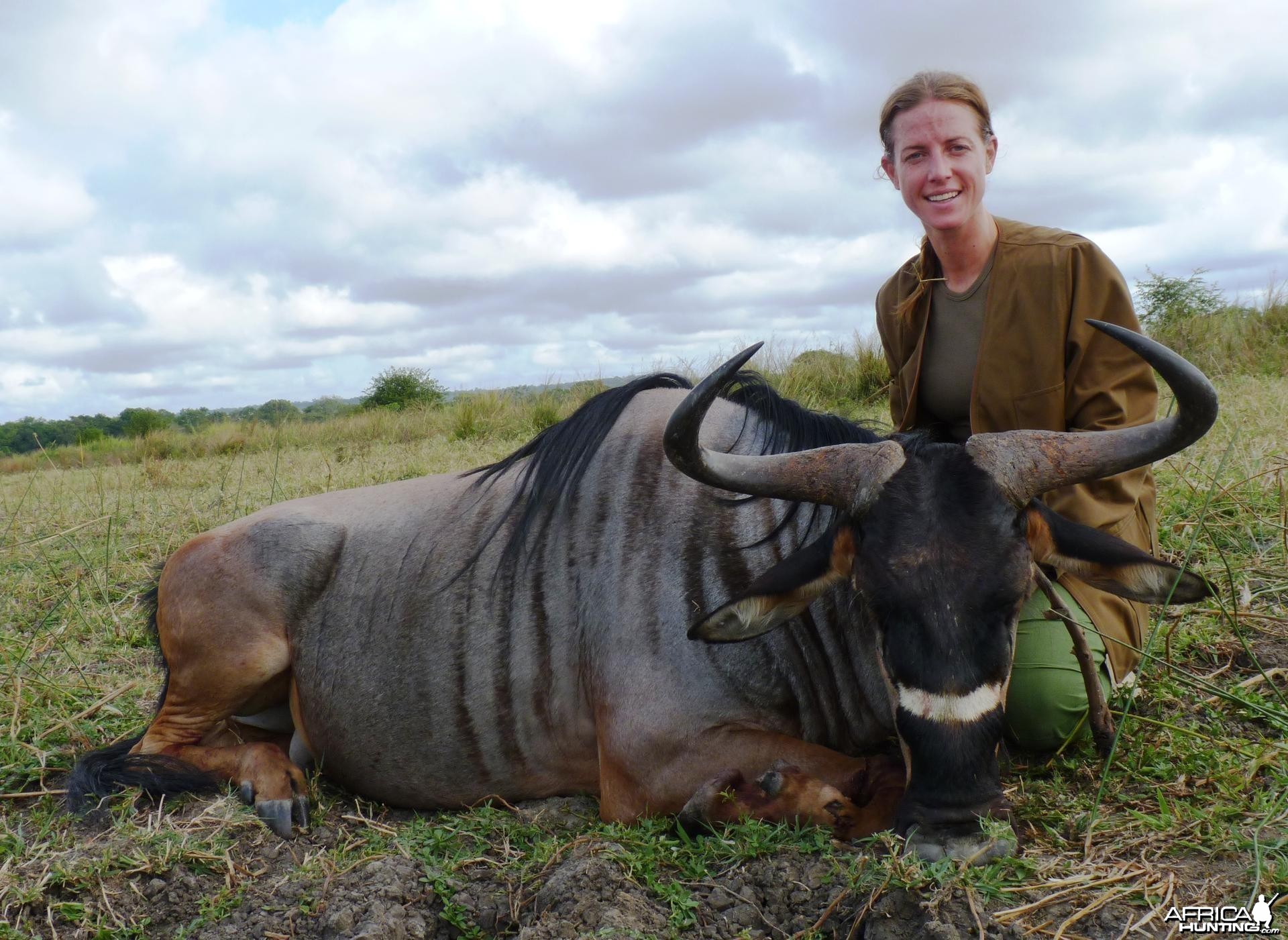 Hunting Nyasaland Wildebeest in Tanzania