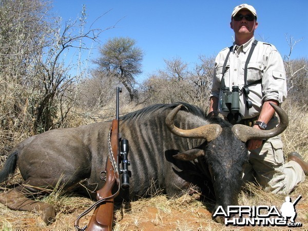 Blue Wildebeest South Africa