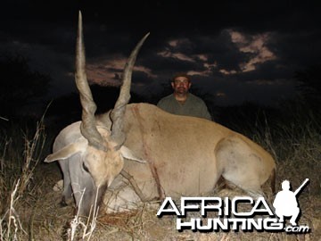 Hunting Cape Eland