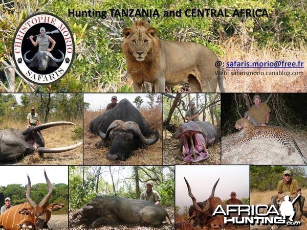 Hunting Safaris in CAR &amp; Tanzania with Christophe Morio