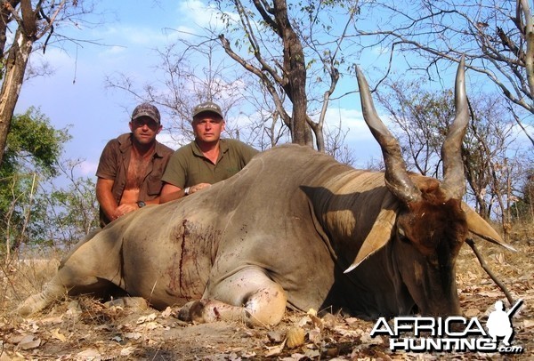 Very old East African Eland Tanzania