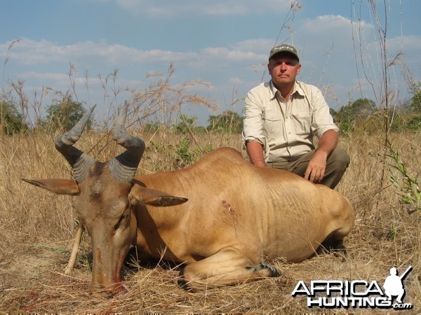 Lichtenstein Hartebeest Tanzania