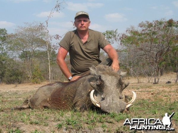 12 inch Warthog hunted in Tanzania